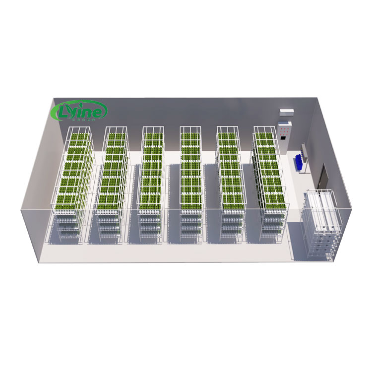 Agriculture Vertical Farming - Agricultural Greenhouses Lettuce Nft Hydroponics System