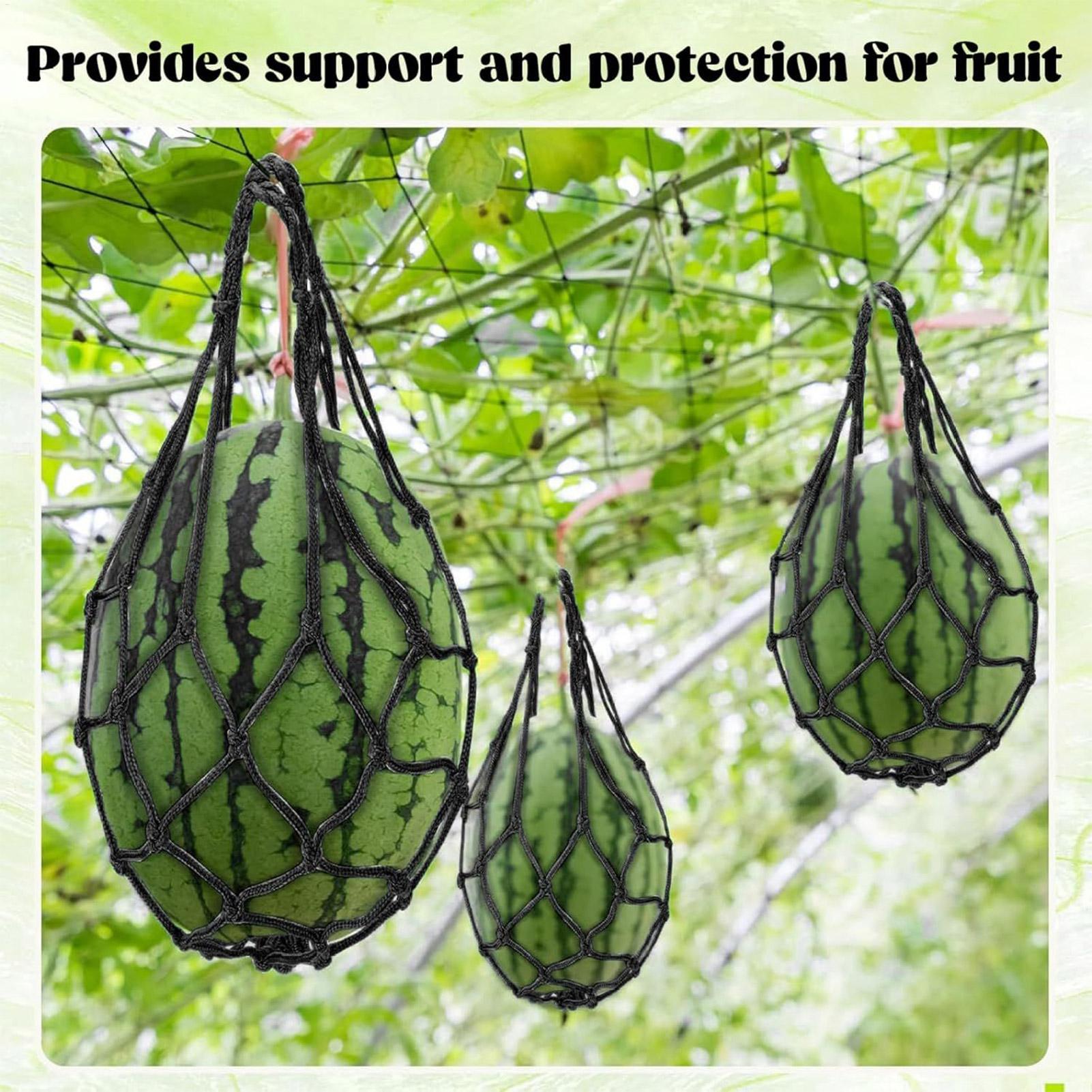 10pcs Watermelon Nets Garden V - Agriculture Vertical Farming recension och pris
