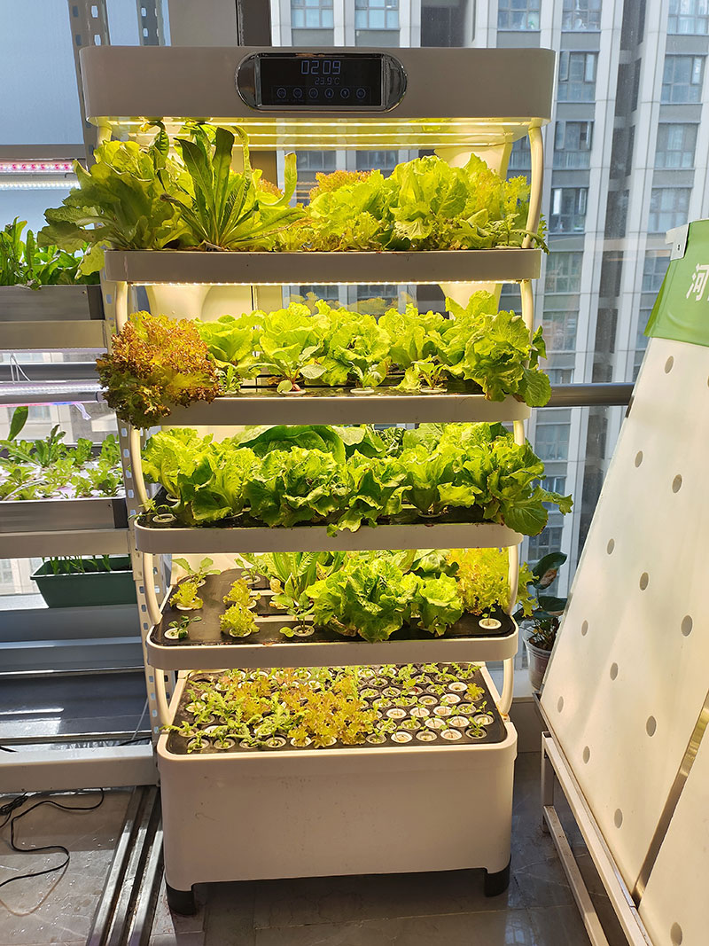 c Agriculture Machine to Growi - Agriculture Vertical Farming recension och pris