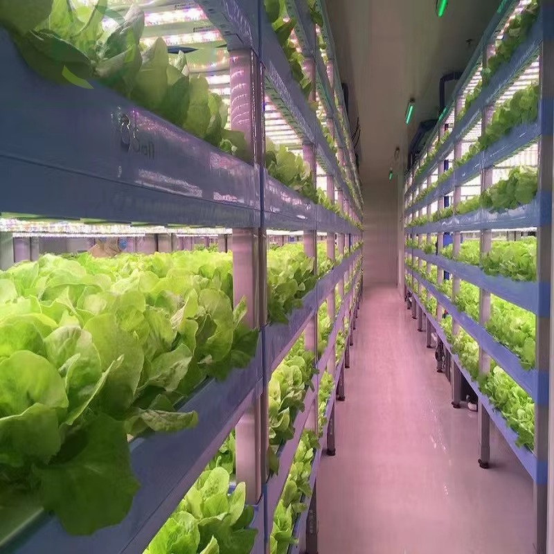 Custom Agricultural Greenhouse - Agriculture Vertical Farming recension och pris