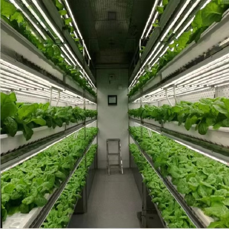 Custom Agricultural Greenhouse - Agriculture Vertical Farming recension och pris